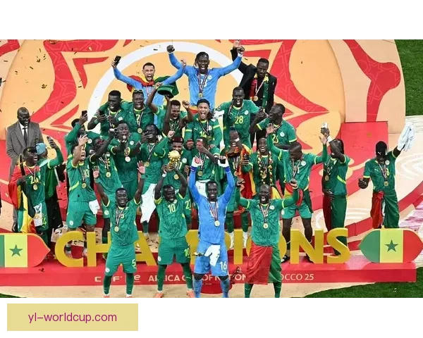 非洲杯决赛冲突将受处罚非足联 非洲杯决赛冲突将受处罚非足联