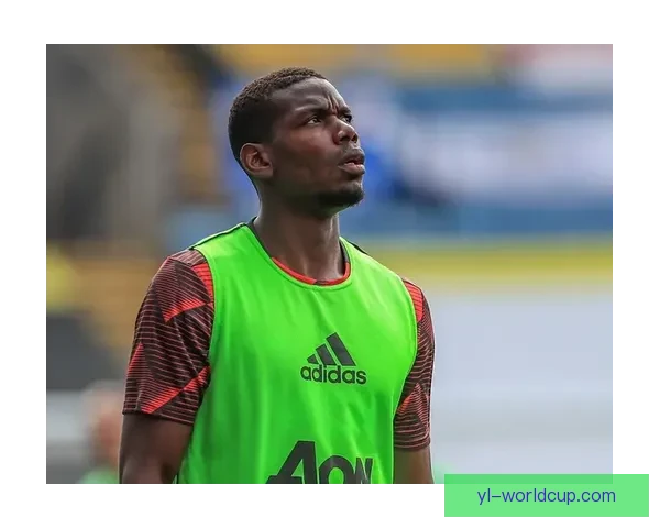 阿莫鲁索称胜利已改变战局形势 阿莫鲁索称胜利已改变战局形势